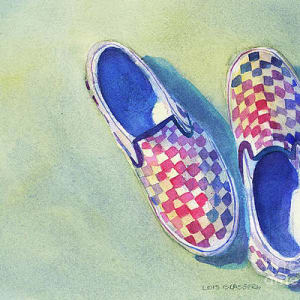 Dani's Shoes by Lois Blasberg 