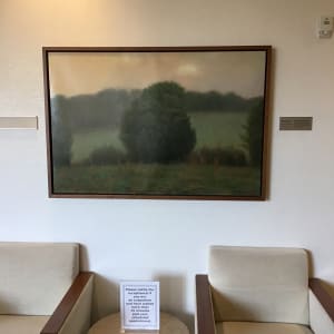 Maple View Tree by John Beerman