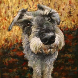 Portrait of Stryder by Cheryl Feng