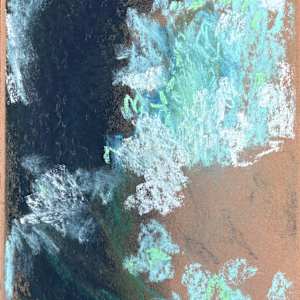 Hydrangea Study by Anne Sanger 