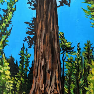 Giant Sequoia Mother Tree by Sonya Kleshik