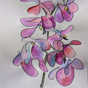 Pink Orchid Dance by Sonya Kleshik 