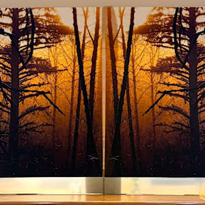 Into the Woods by Shobha Jetmalani, Image 1.