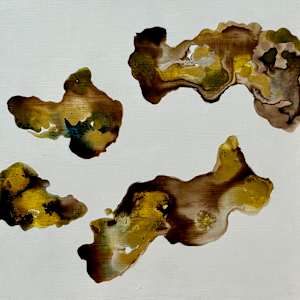 Sitka Bark In Ink II by Shobha Jetmalani