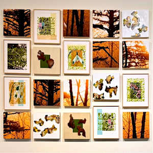 Fresh Air Fables by Shobha Jetmalani, Image 2.