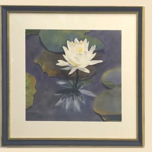Waterlily Reflection by April Rimpo 