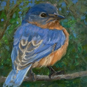 Bluebird #3