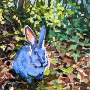 American Rabbit by Rachel Catlett