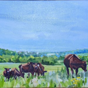 Becky's Herd, Grazin Beef , WI by Rachel Catlett