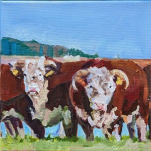 Hereford Cattle by Rachel Catlett