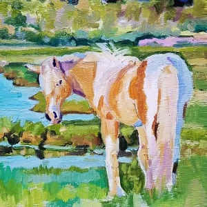 Assateague Island Pony by Rachel Catlett