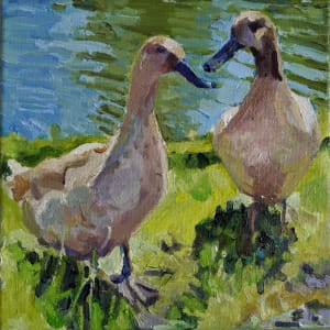 Khaki Campbell Ducks by Rachel Catlett