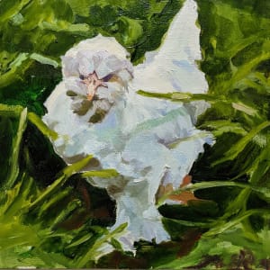 Sultan Chicken by Rachel Catlett