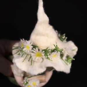 Chamomile by Anna Potapova 