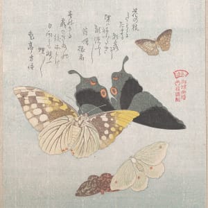 Various moths and butterflies III by Kubo Shunman