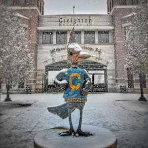 Billy Blue Jay by Matthew Placzek, Image 2.