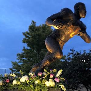 Gale Sayers by Littleton Alston, Image 1.