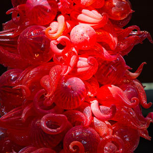 Toreador Red by Dale Chihuly 