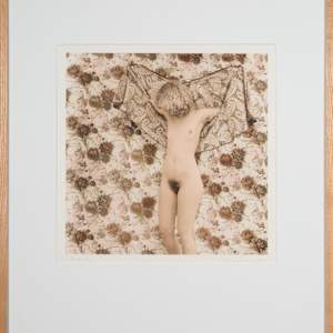 Butterfly by Judith Steinhauser