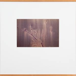 Sgraffito by Tim Belshaw