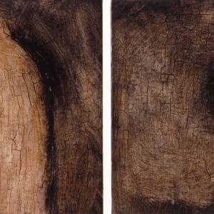 Green Diptych I by Aaron L. Baldwin