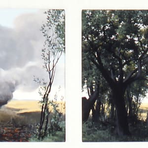 Marsh Fire, Georgetown, SC by Bruno Civitico