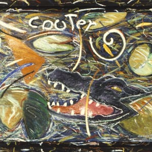 Cooter by Phillip M. Garrett