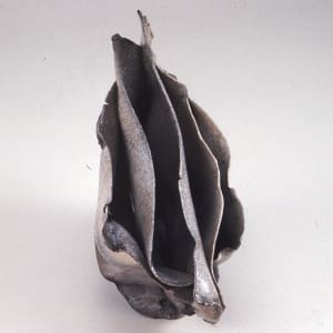 Faltung by Elizabeth Mueller-Roemer