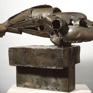 Killer Whale by Arthur Rose