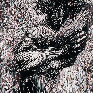 Struggle by Robert B. Spencer