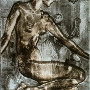 One Size Fits All by Grace Michelle Van Parys