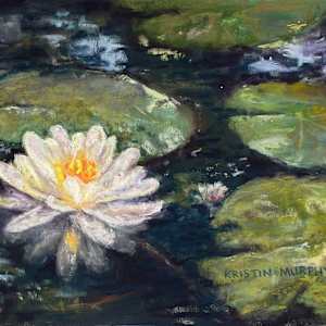 Sparkling Water Lily by Kristin Murphy, Image 1.