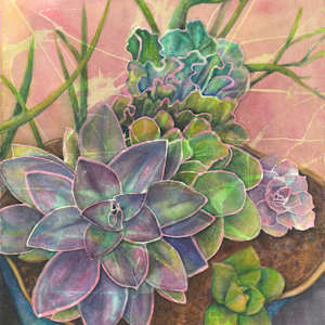 Succulents by Kristin Murphy