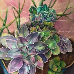 Succulents by Kristin Murphy