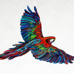 Scarlet Macaw