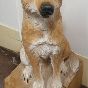 Dingoes by Richard Bast