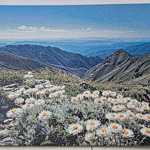 Alpine sunrays view to the Sentinel by Mike Emondson