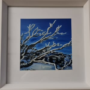 ‘Guthega Ice Tree’ by Danielle Devine