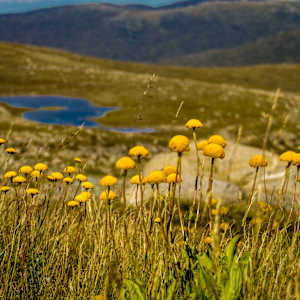 A3 mat Hedley Tarn Summer by Wanda Lach
