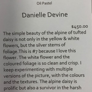 Alpine Daisy #7 by Danielle Devine 