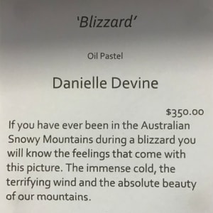 Blizzard by Danielle Devine 