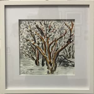 After the Fires by Danielle Devine