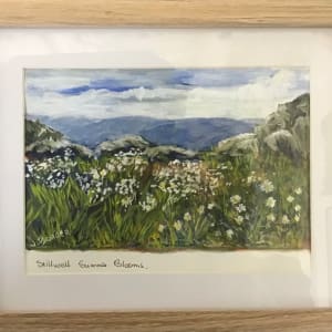 Stillwell Summer Blooms by Jenny Border