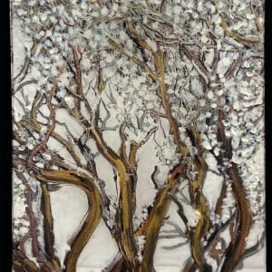 Snow Gums by Danielle Devine
