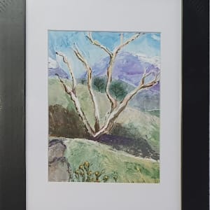 SnowGum by Jan Owens