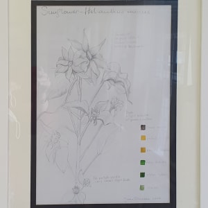 Sunflowers by Jan Owens