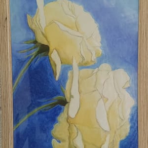 Roses by Jan Owens