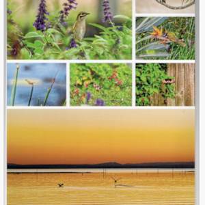 Mark's 2025 calendar by Mark Thomas