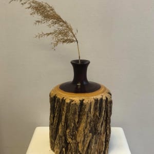 Desert Oak Vase by Richard Nutt