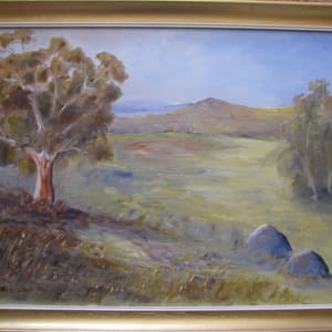 Moonbah Valley Afternoon by Terry Chalk